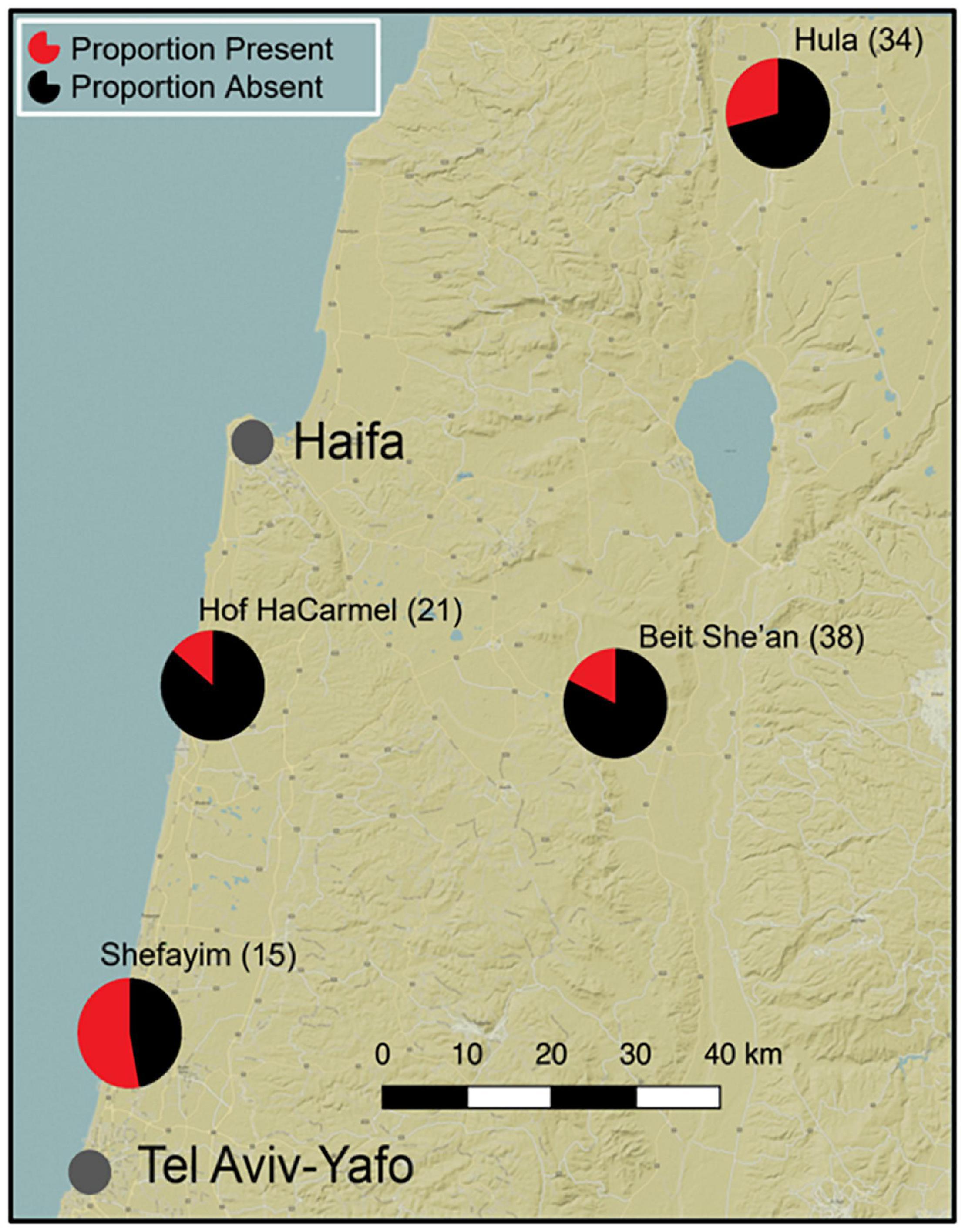 www.frontiersin.org