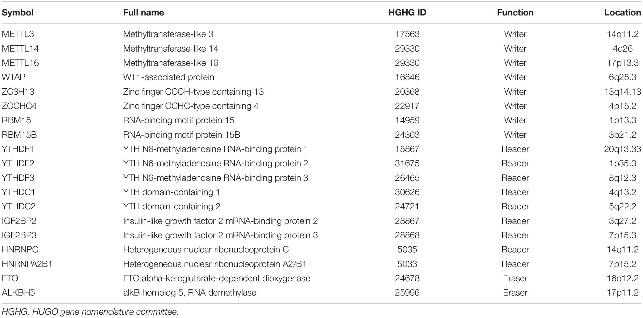 Frontiers The Biological Function, Mechanism, and Clinical Significance of m6A RNA Modifications in Head and Neck Carcinoma A Systematic Review photo image