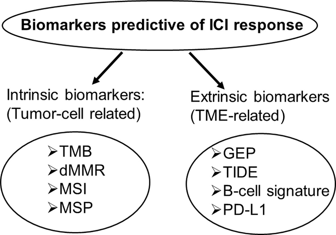 Биомаркеры это. Biomarkers Predictive. Generation of Predictors.