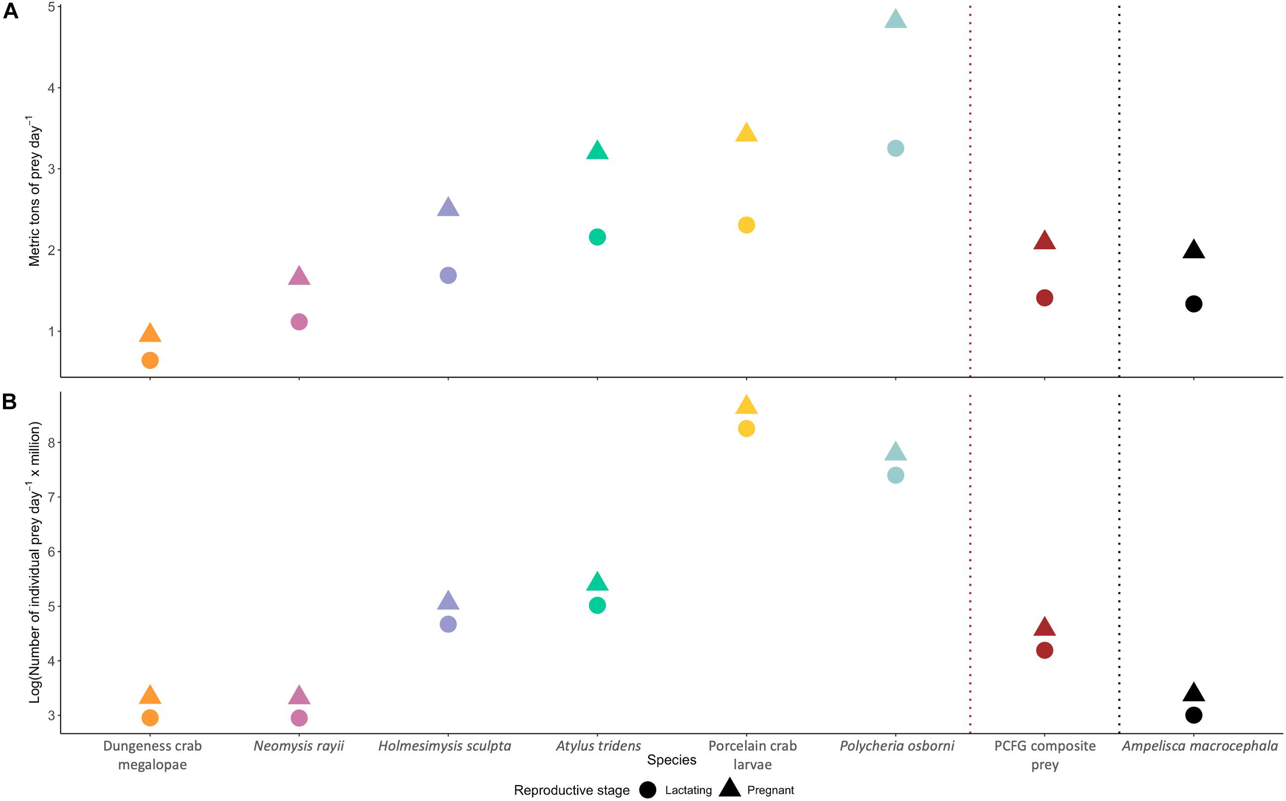 Frontiers | Do Gray Whales Count Calories? Comparing Energetic Values of Gray Whale Prey Across Two Different Feeding Grounds in the Eastern North Pacific