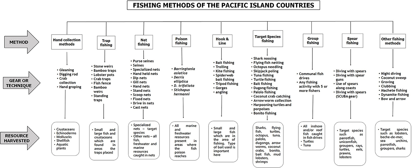 Frontiers  Na Vuku Makawa ni Qoli: Indigenous Fishing Knowledge (IFK) in  Fiji and the Pacific