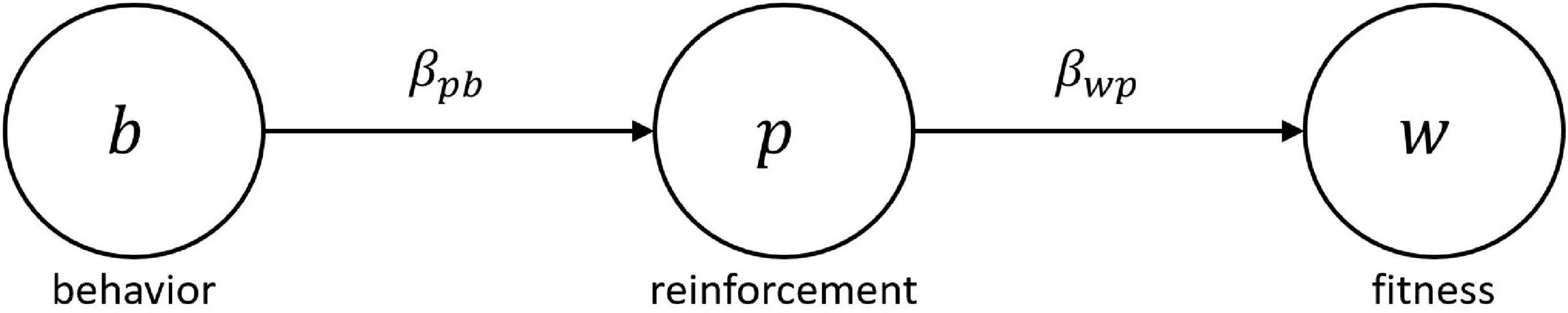 www.frontiersin.org