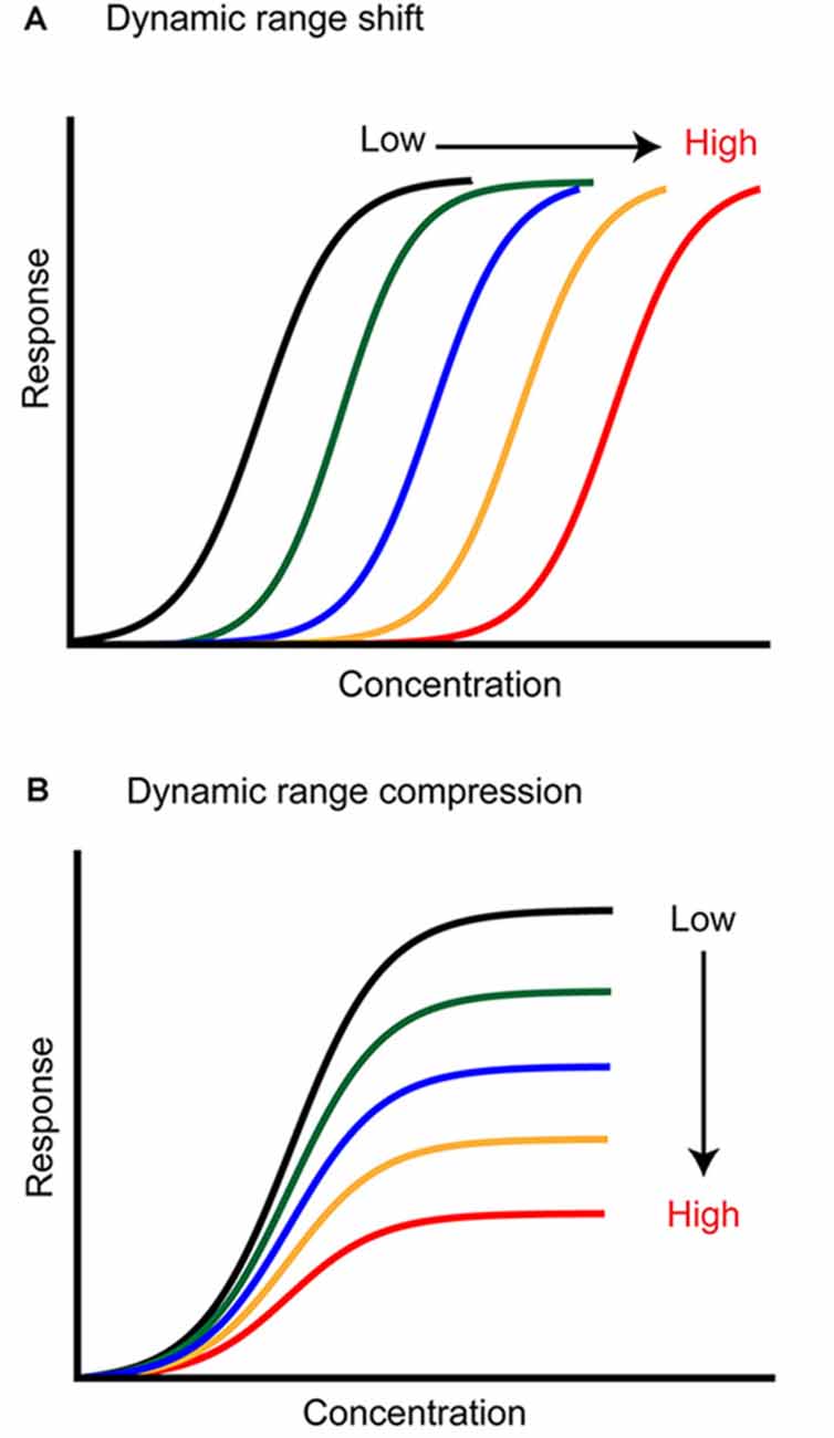 Frontiers  Stimulus Driven Functional Transformations in the Early  Olfactory System