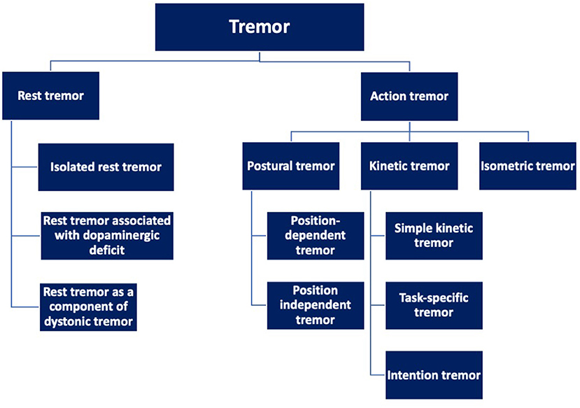 Understanding Essential Tremor: Causes, Symptoms, and Management