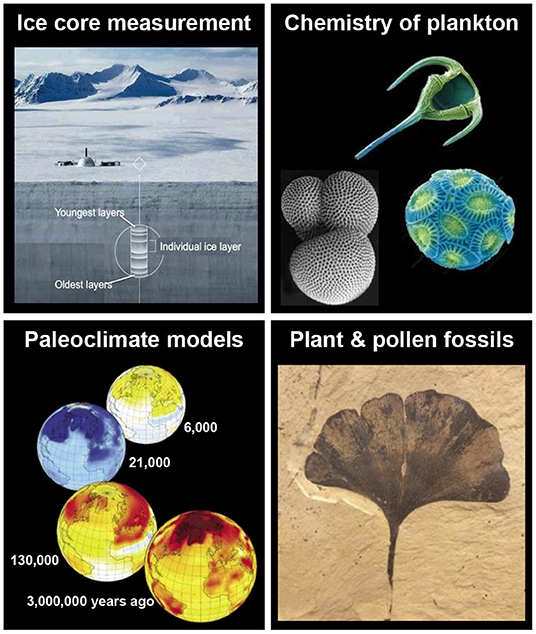 Figure 3 - Scientists use ice cores, proxies like shelled organisms and fossils, and climate models to estimate past changes in paleoclimate.