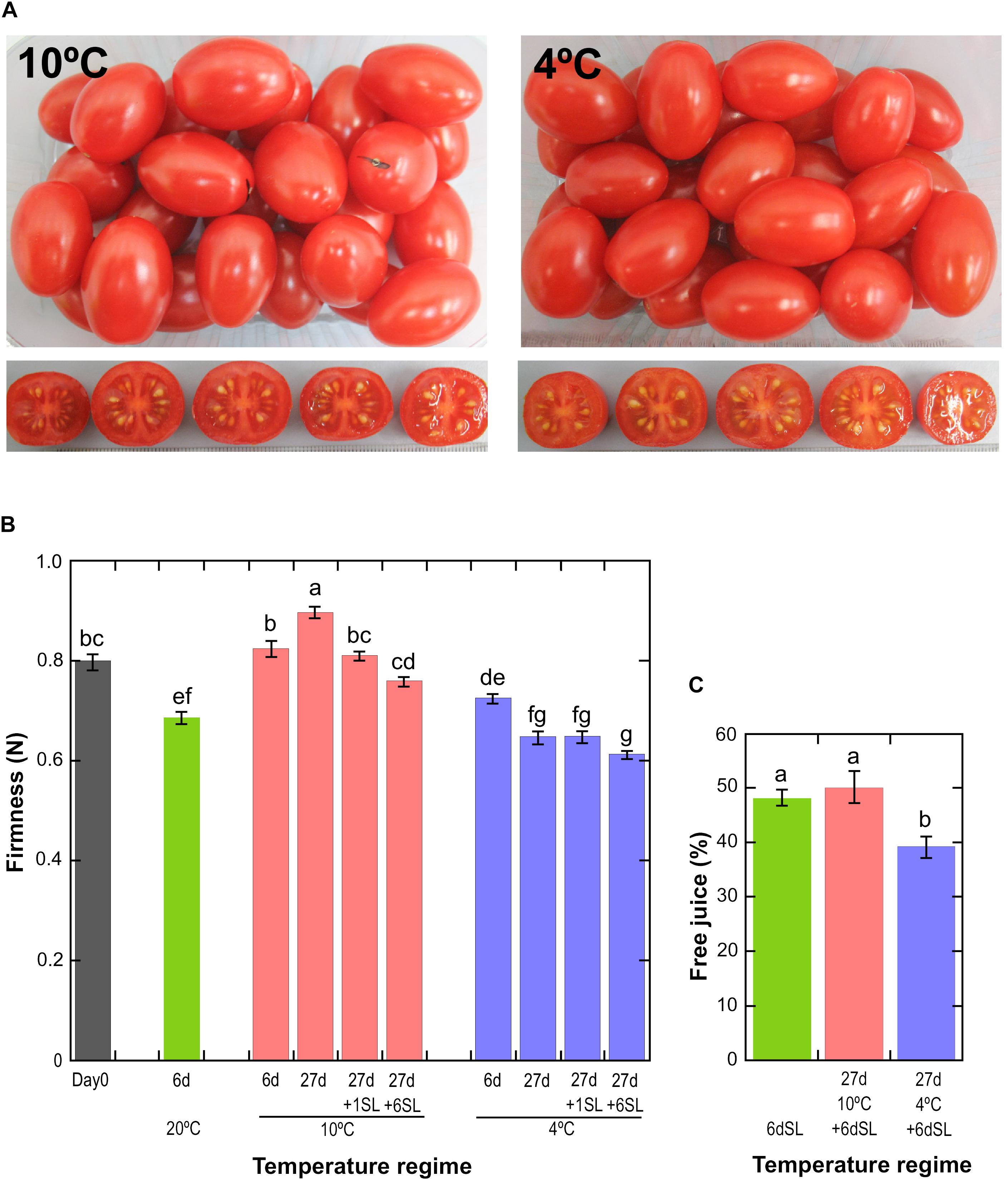 Transcriptomic and Metabolic Analyses Provide New Insights into the Apple  Fruit Quality Decline during Long-Term Cold Storage