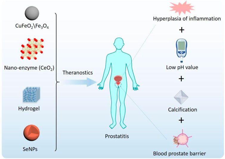 levofloxacin cured my prostatitis)