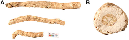 www.frontiersin.org