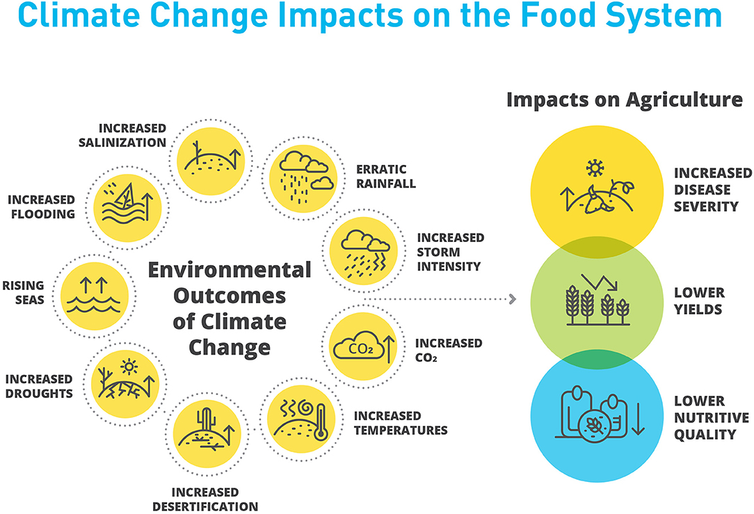 Frontiers Application Of Gene Editing For Climate Change In Agriculture