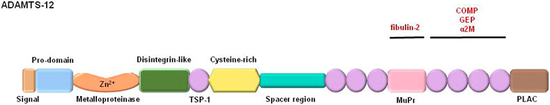 www.frontiersin.org