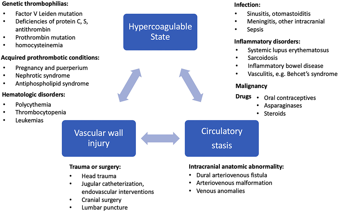 PDF) Inherited Thrombophilia and the Risk of Arterial Ischemic