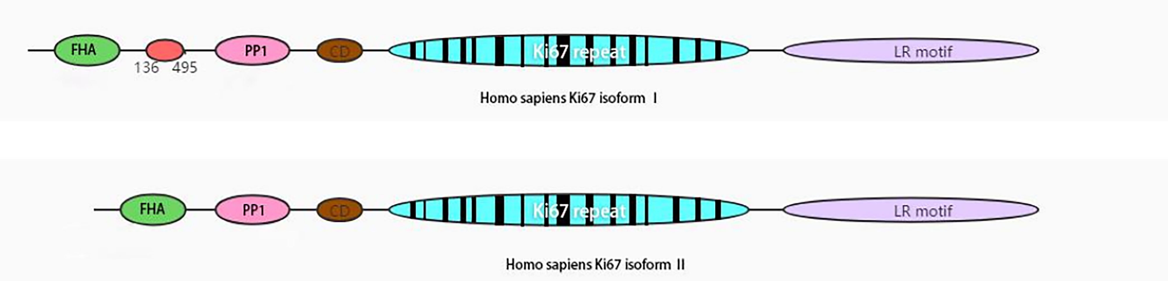 www.frontiersin.org