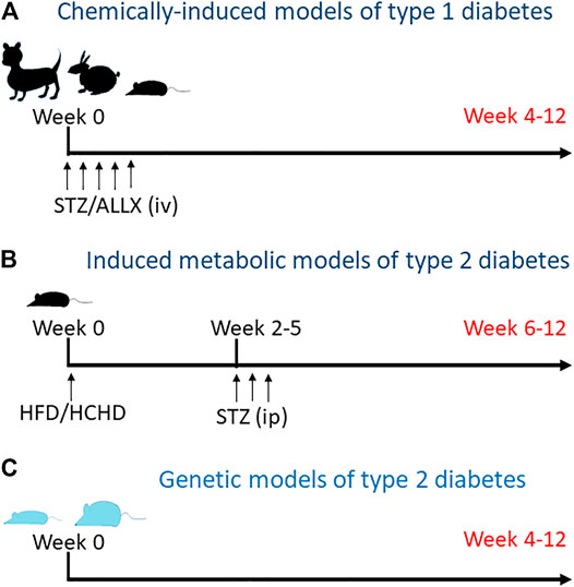 diabetes and metabolism journal endnote style