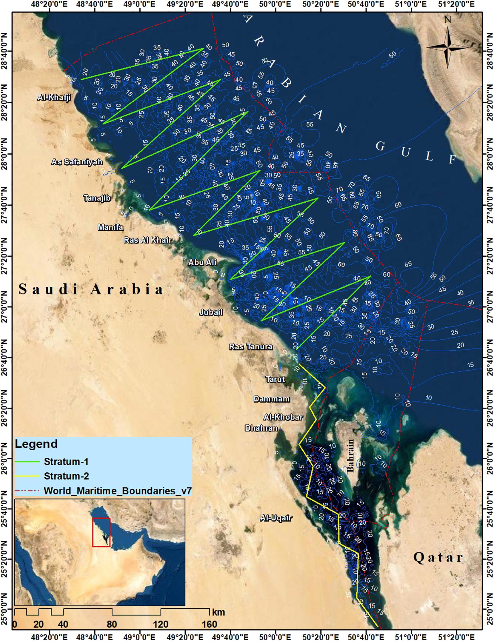 Frontiers  Diversity, Distribution, and Density of Marine Mammals Along  the Saudi Waters of the Arabian Gulf: Update From a Multi-Method Approach