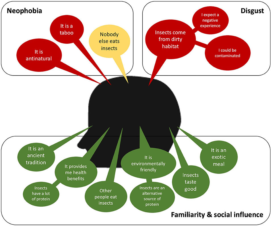 Frontiers Insects as an alternative protein source for poultry
