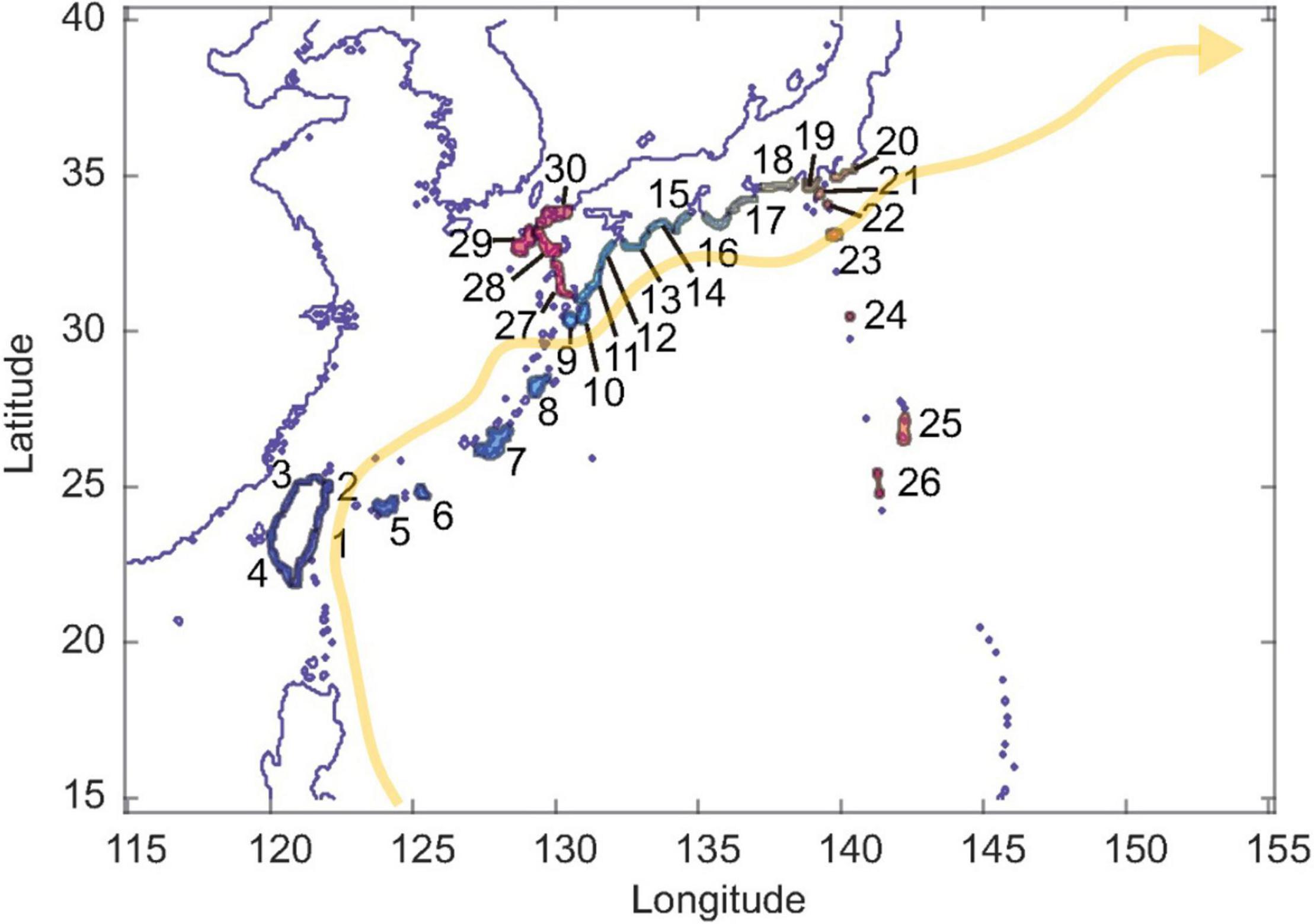 A compiled key to the recent Stomatopoda of the Indo-West Pacific region