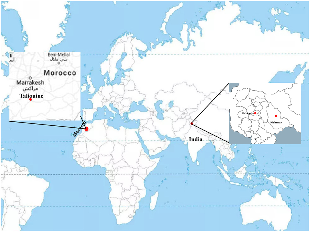 www.frontiersin.org