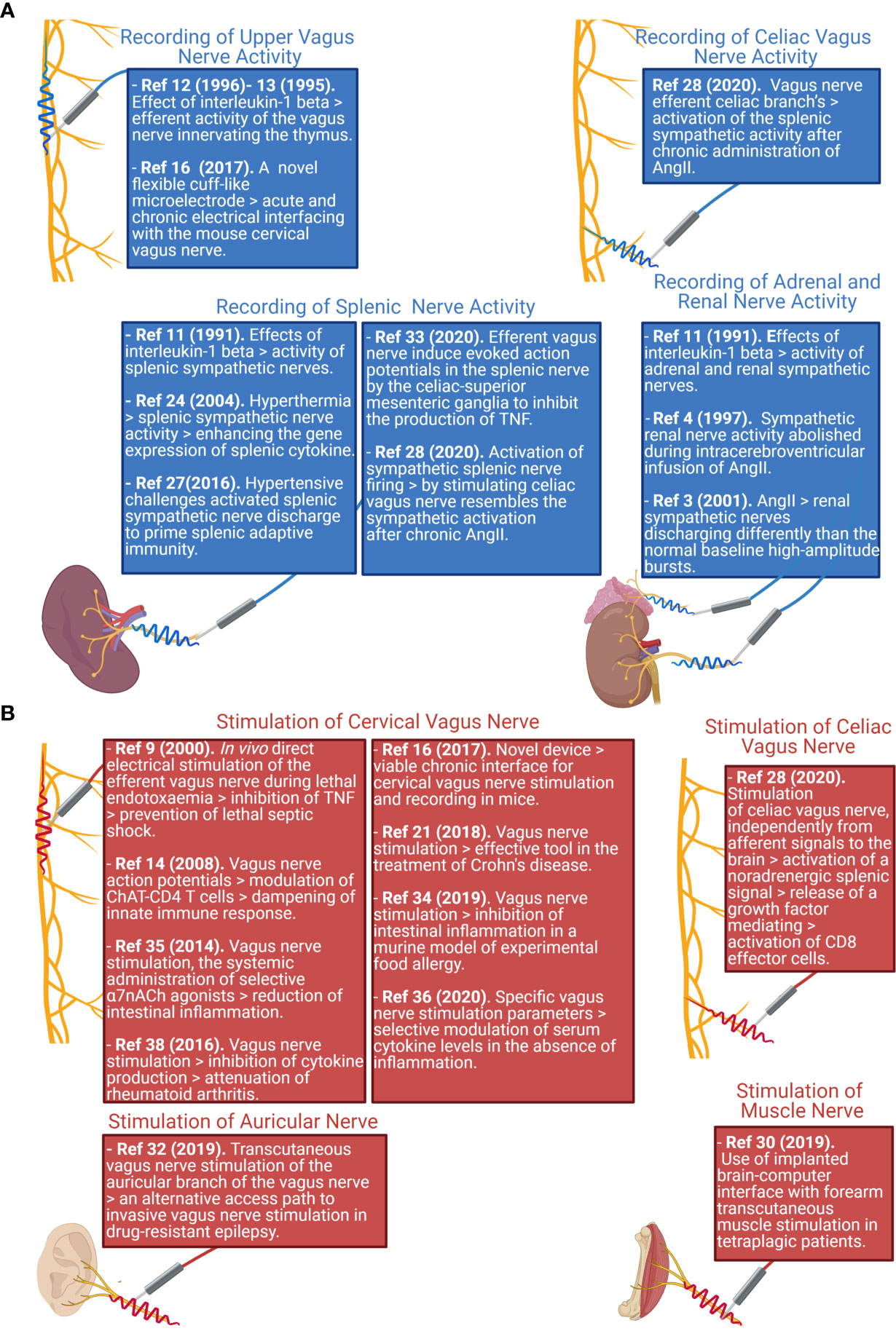 Vagus Nerve Stimulation (Discharge Care)