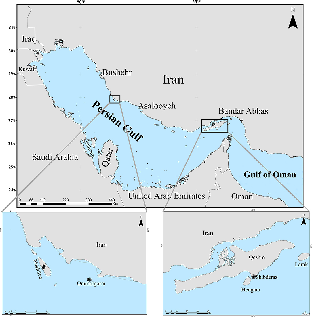 www.frontiersin.org