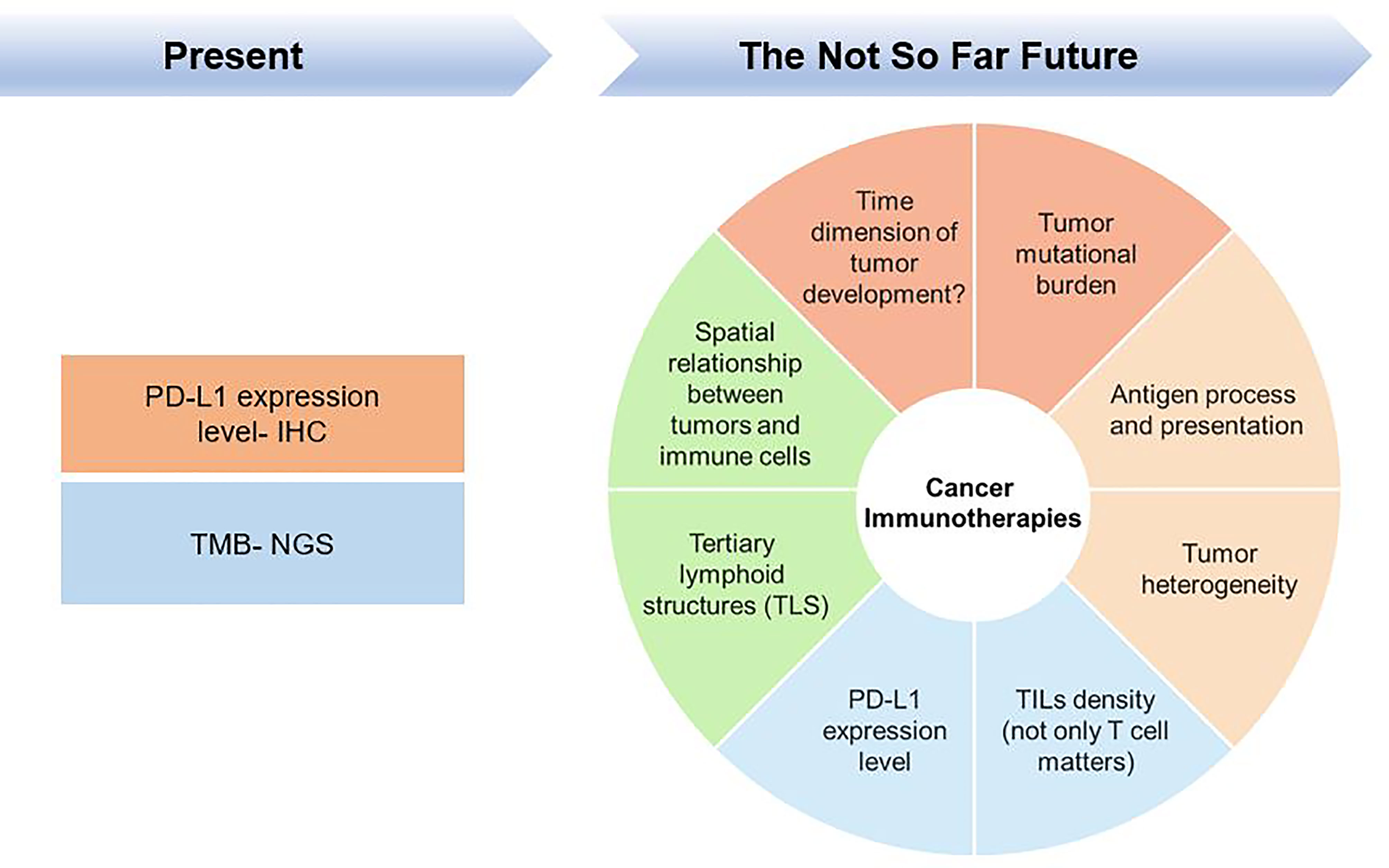 Frontiers Cancer Immunotherapies From Efficacy To Resistance
