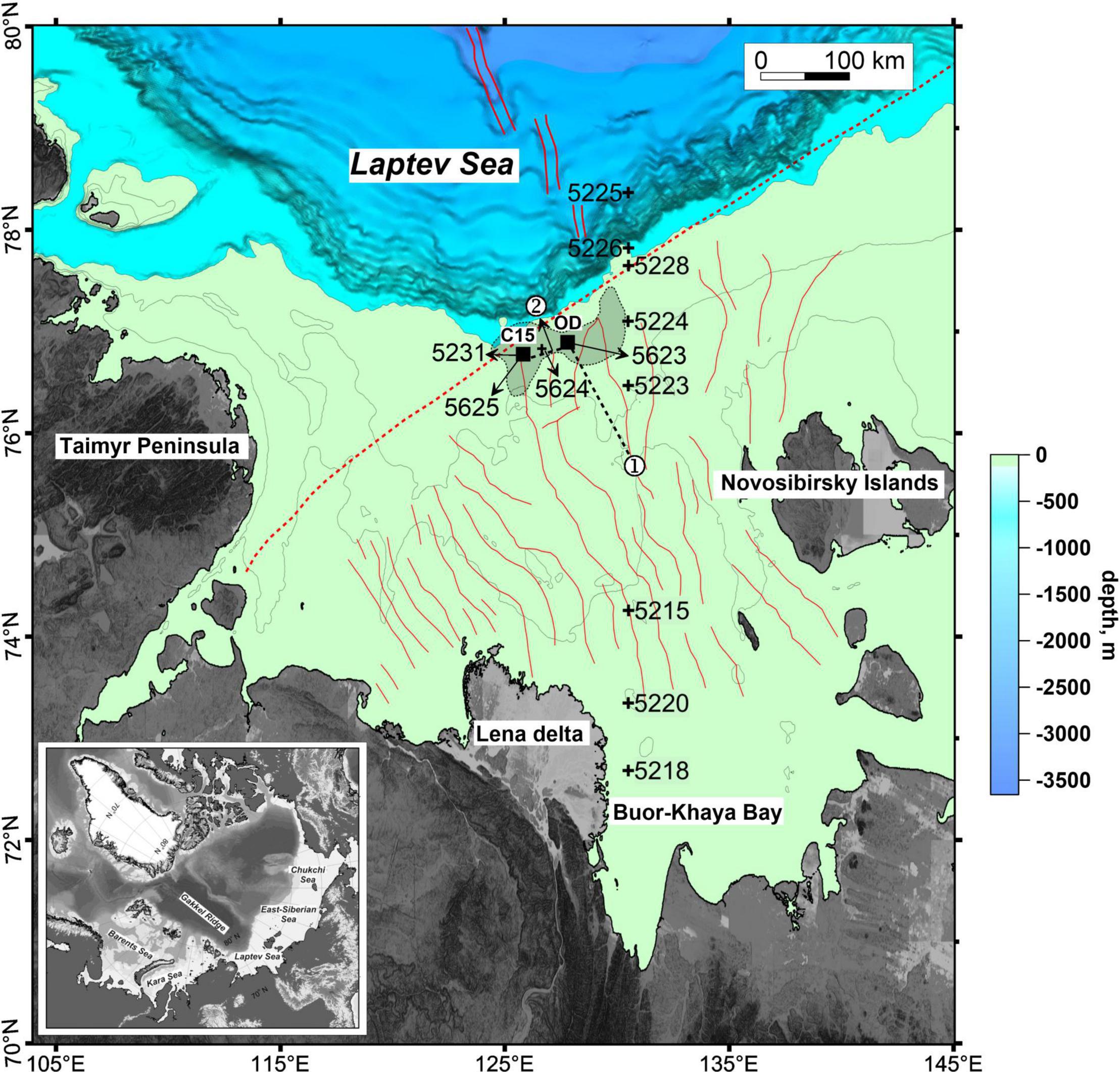 Frontiers Methane Derived Authigenic Carbonates On The Seafloor Of The Laptev Sea Shelf Marine Science