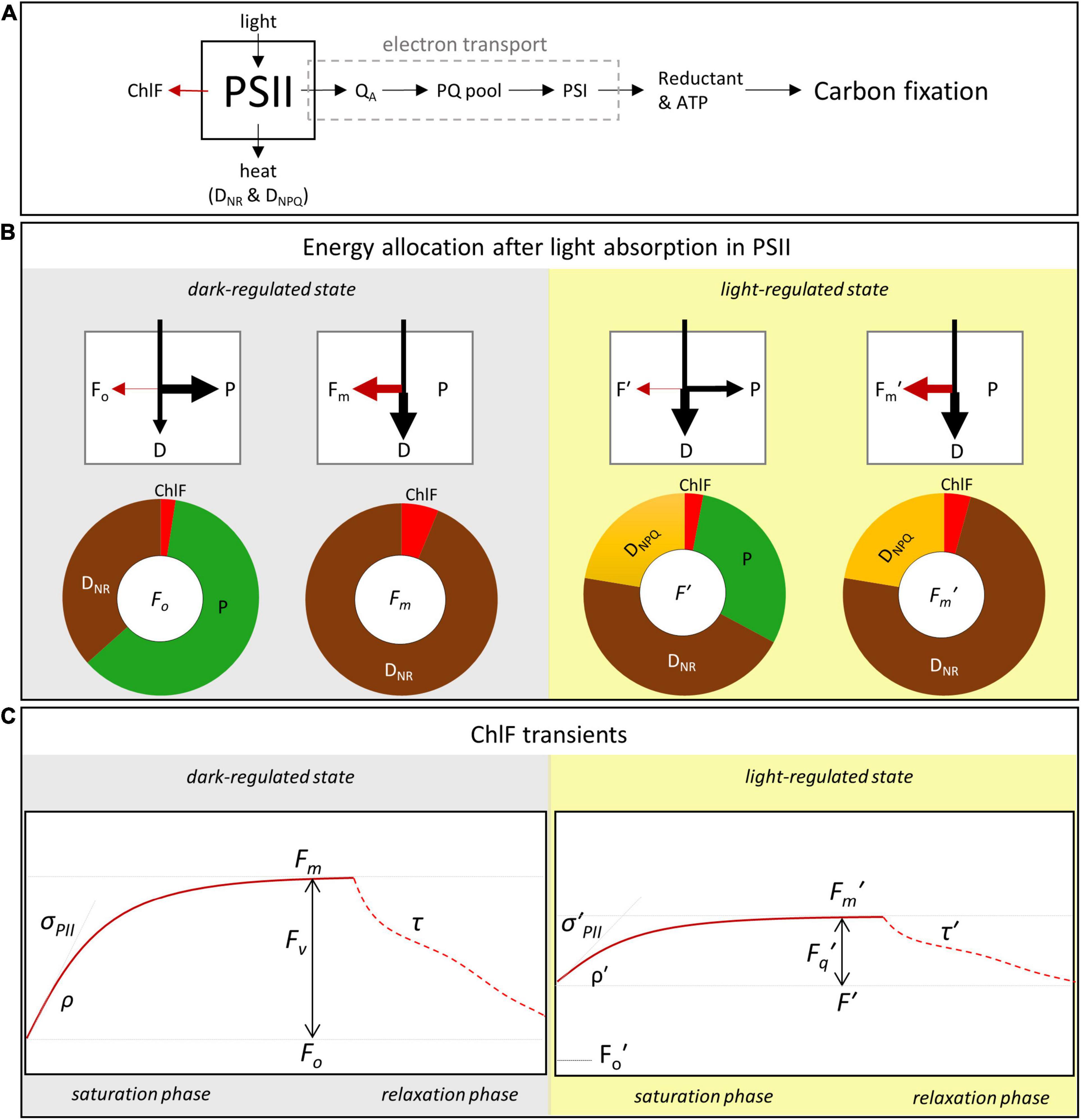 BG - Sun-induced fluorescence as a proxy for primary productivity