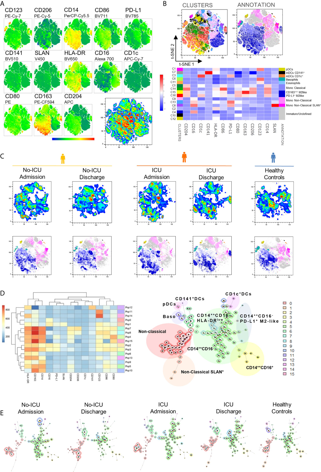 Understanding B & T Cells in COVID-19 Patients