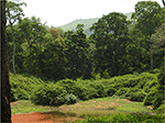 www.frontiersin.org