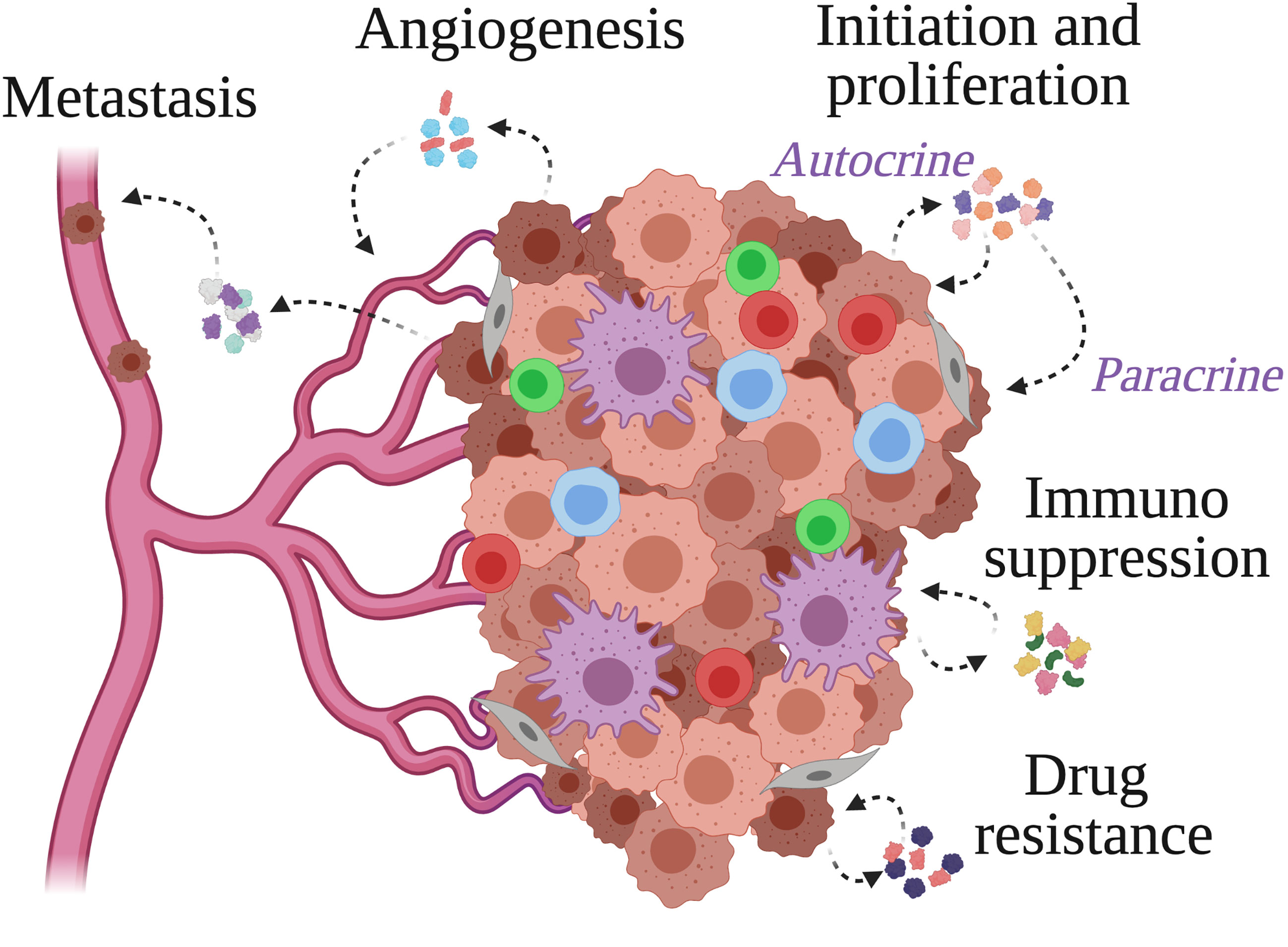 Frontiers  Inflammation and immune cell abnormalities in