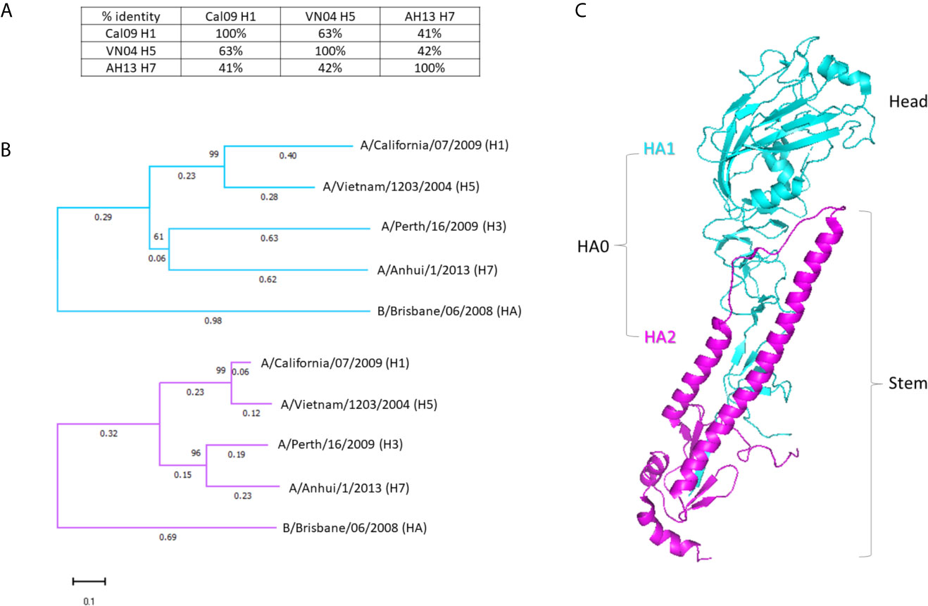 Frontiers Administration of Multivalent Influenza Virus