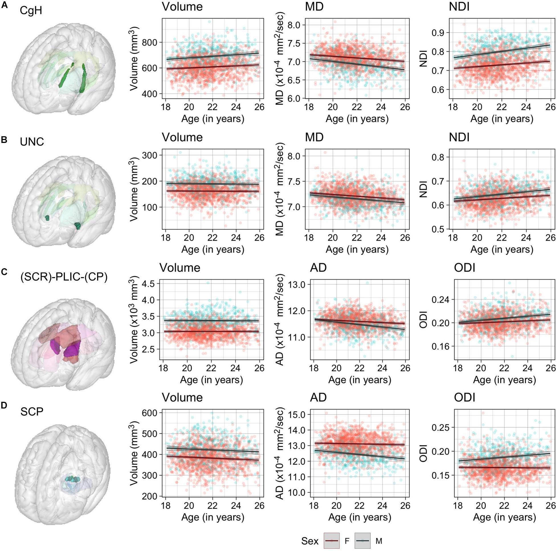 Frontiers  Age-Related Variations in Regional White Matter Volumetry and  Microstructure During the Post-adolescence Period: A Cross-Sectional Study  of a Cohort of 1,713 University Students