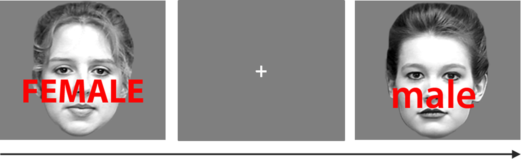 www.frontiersin.org