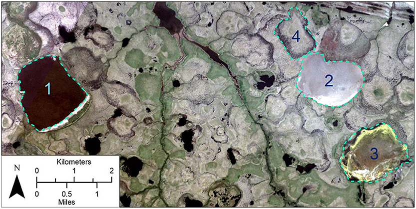 Figure 3 - Thaw lakes in Bering Land Bridge National Preserve, Alaska, on a satellite image taken in July 2019.