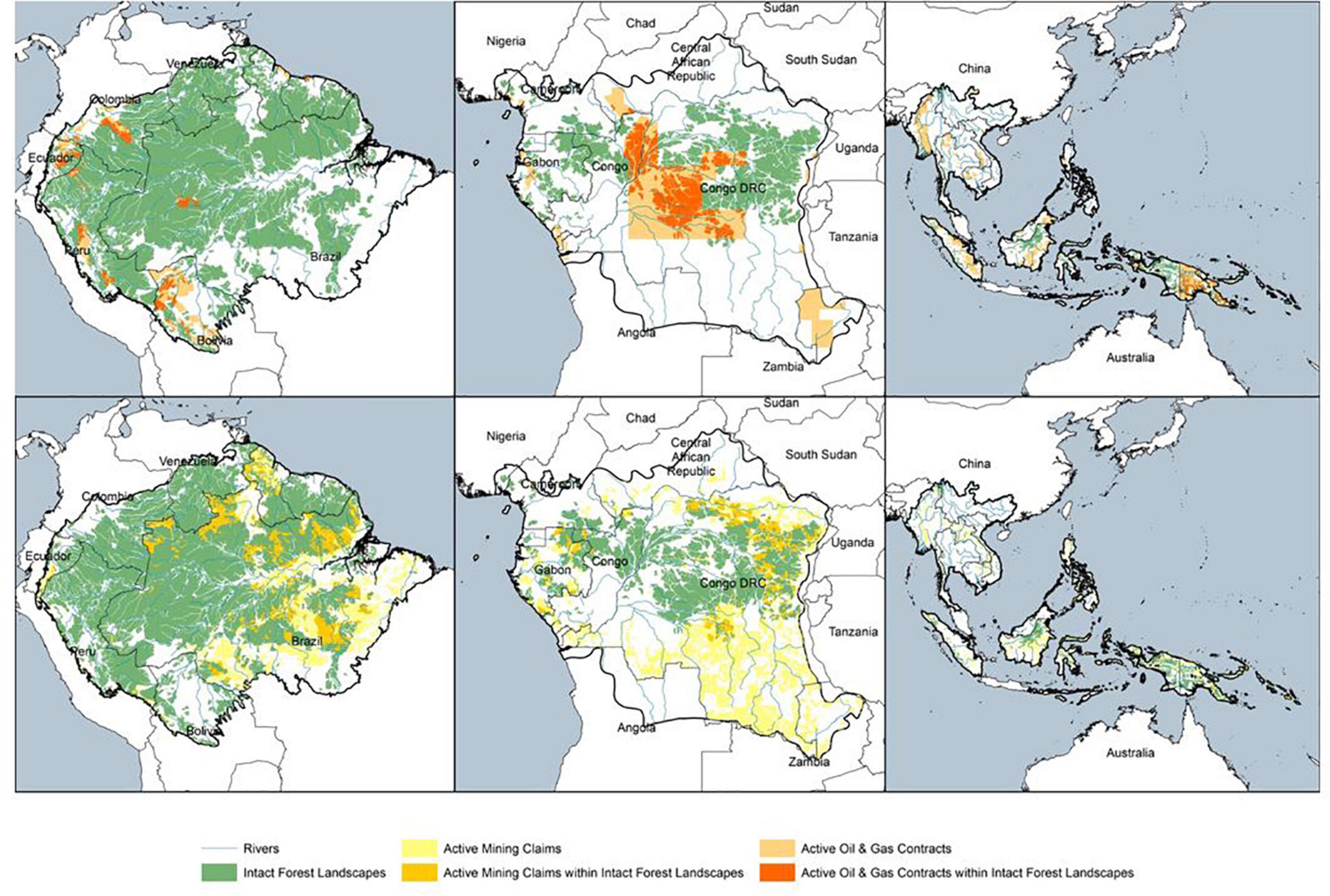 Offsets in the forests  World Rainforest Movement