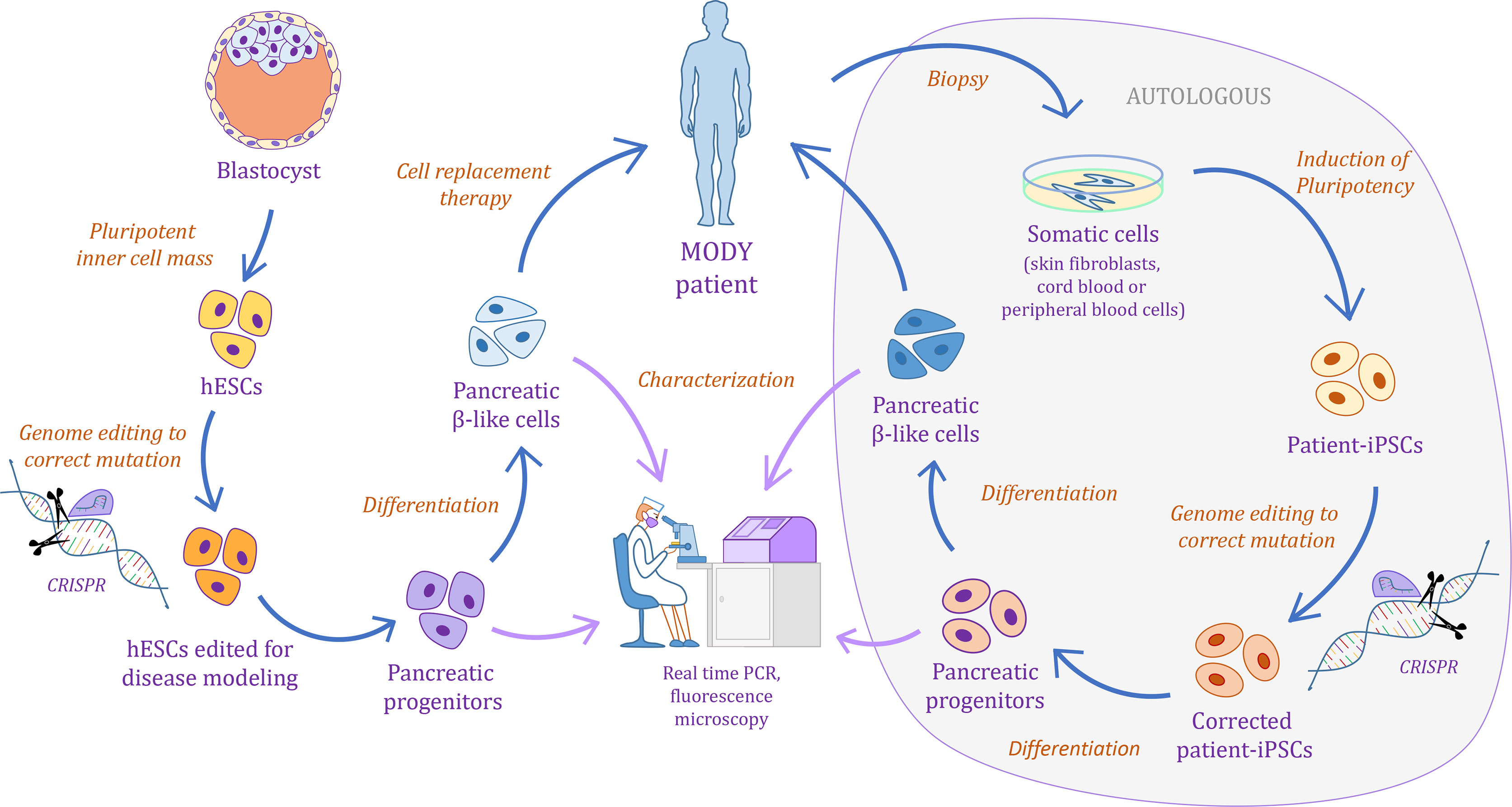 Urgencia hiperglucemia sin cetosis