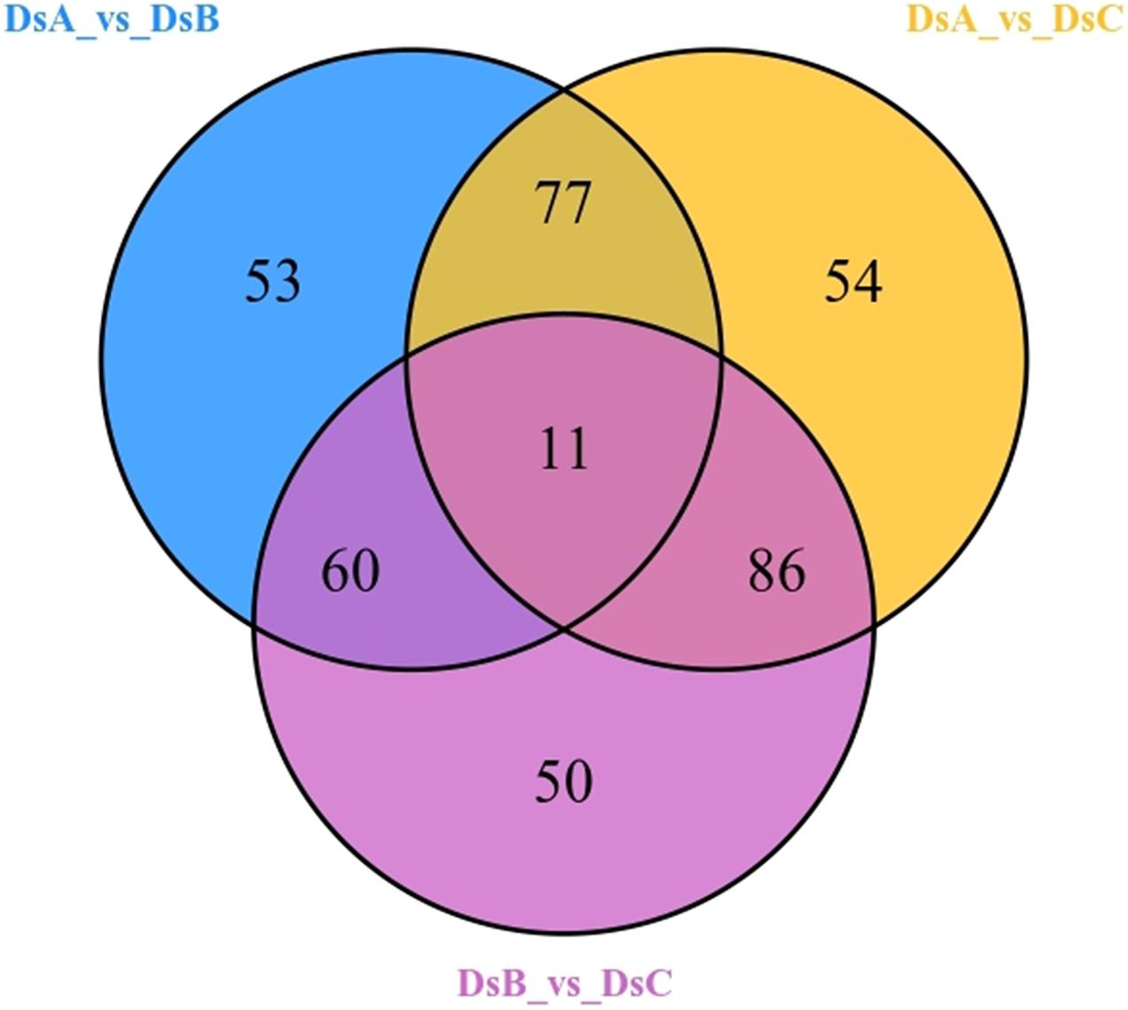 Frontiers | Transcriptomics and Metabolomics Reveal Purine and ...