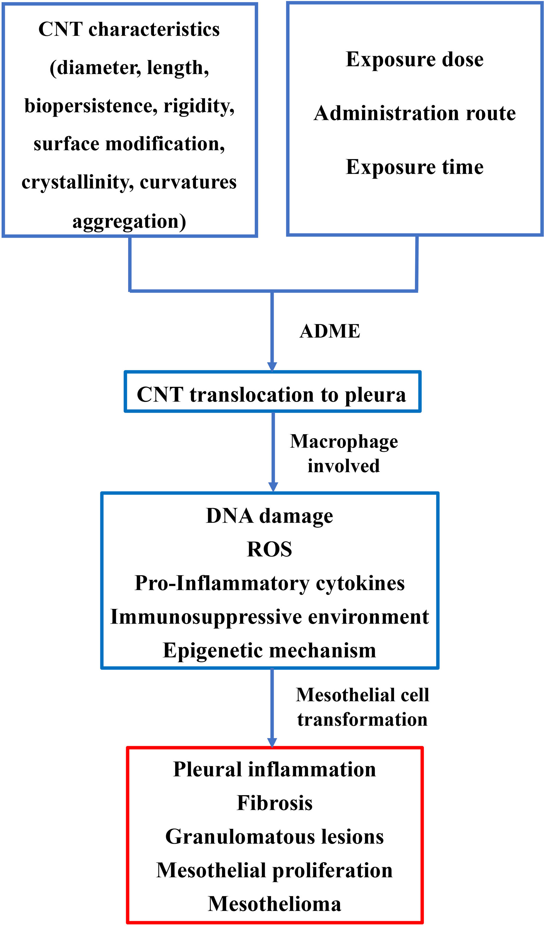 prognosis for malignant pleural effusion