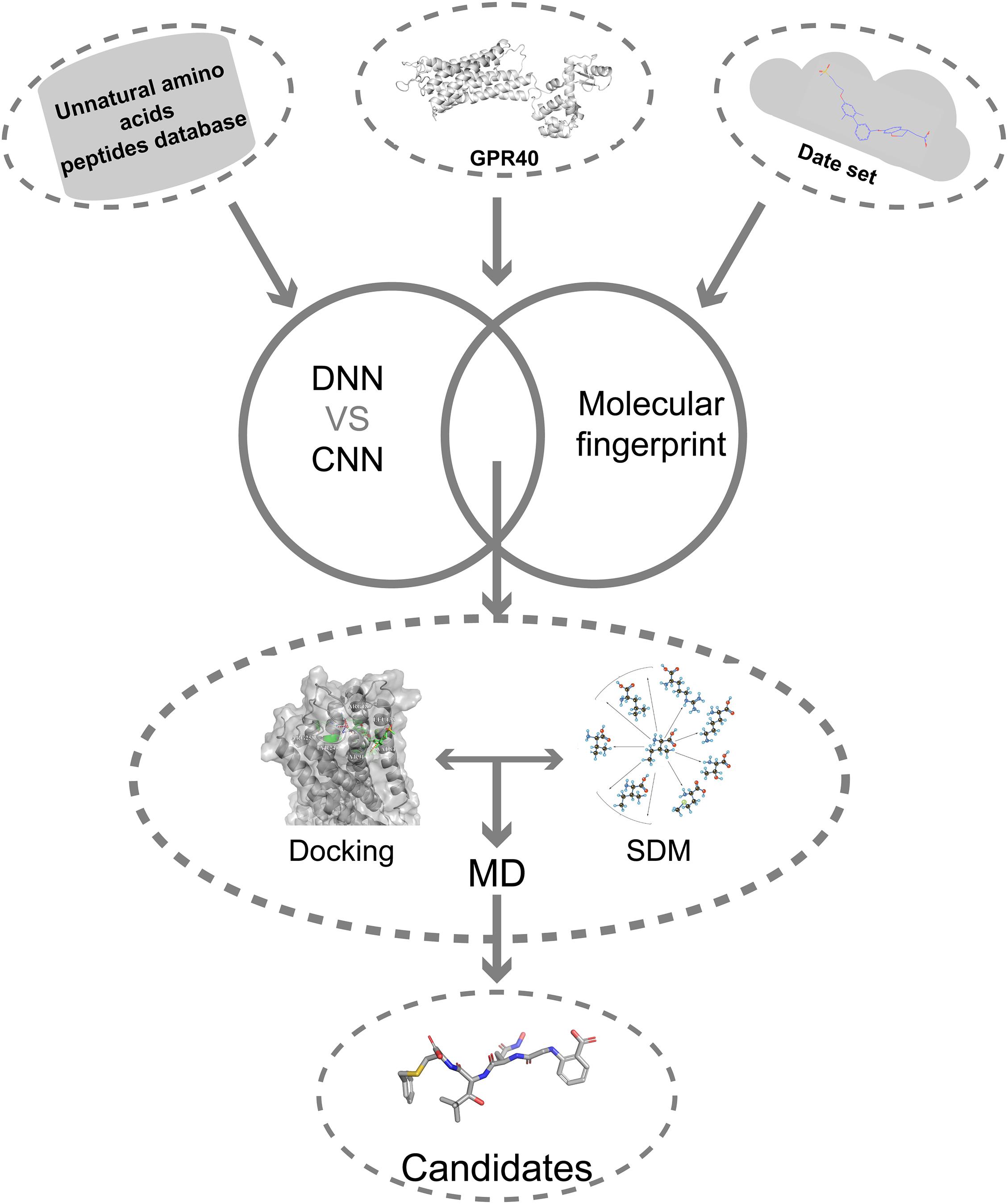 WHI-P131  Cell Signaling Technology