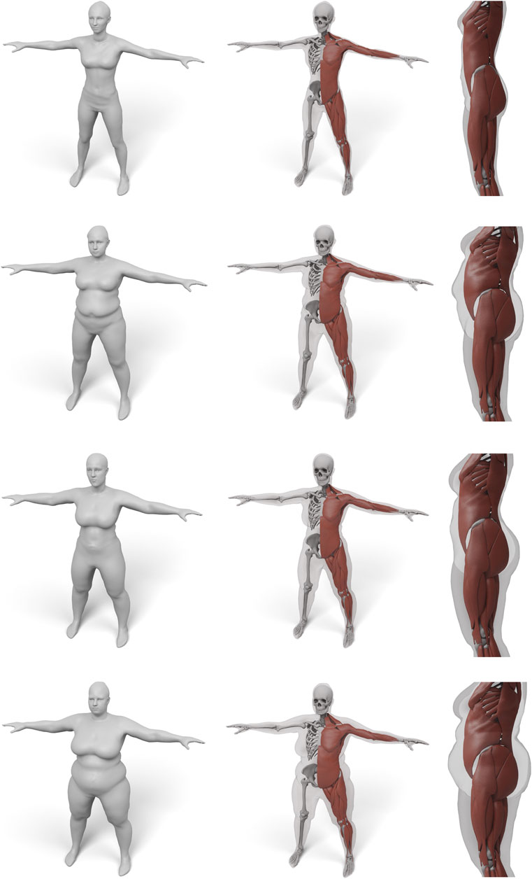 Character Creator 4 Online Manual - Manually Setting T-Pose