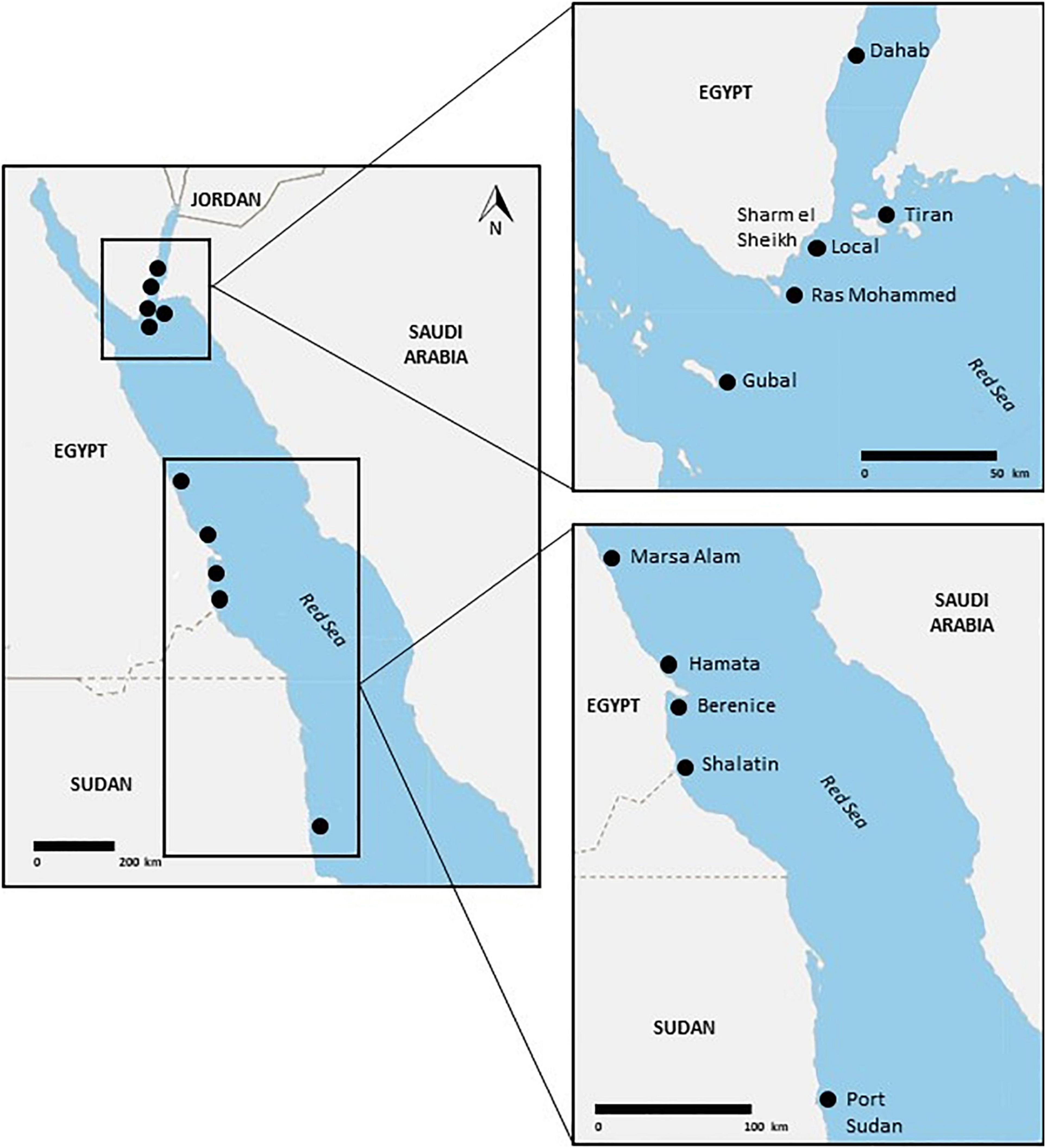 Restor It CPES-8  Fisheries Supply