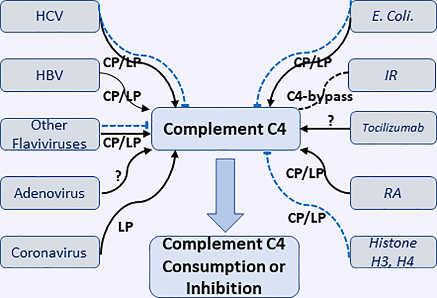 Complemento c4 alto que significa