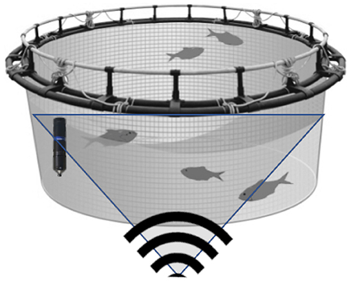 Frontiers  Data Driven Insight Into Fish Behaviour and Their Use