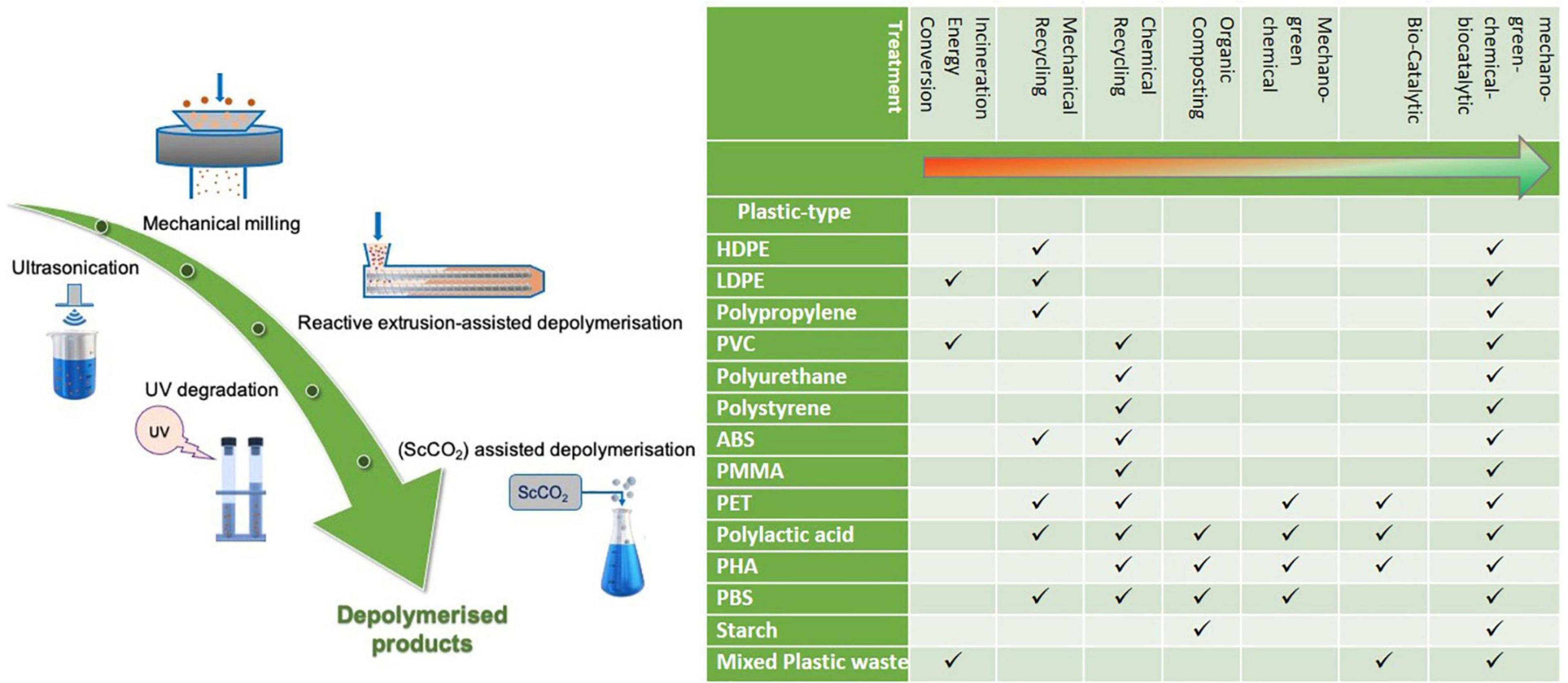 PP Cotton vs Recycled Polyester: Unraveling the Differences