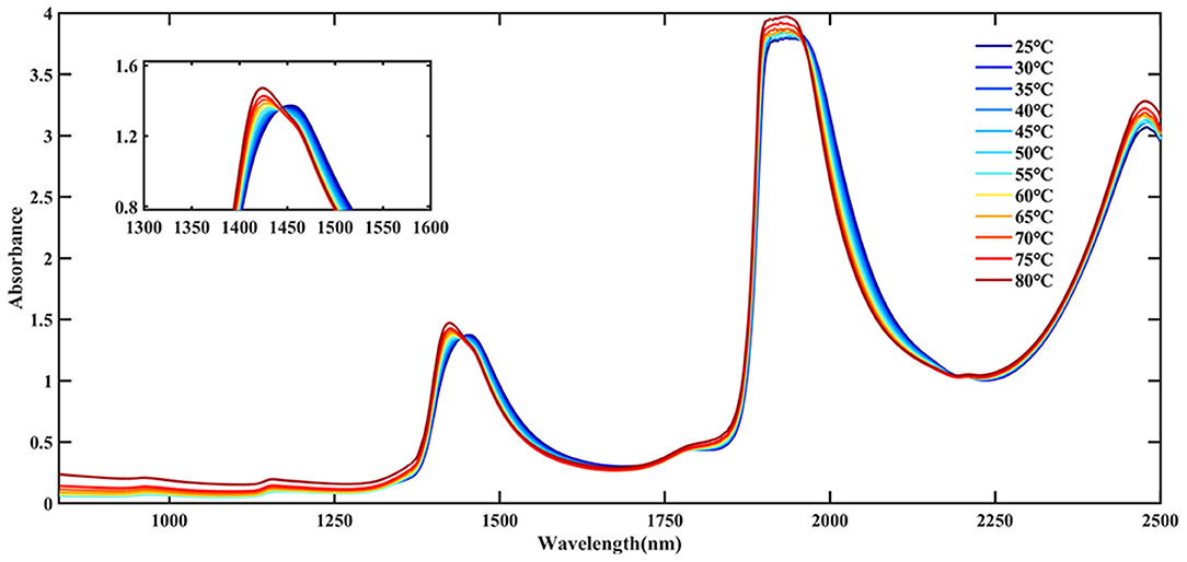 Frontiers | on the Structure of Peanut Allergen Protein h1 Aquaphotomics | Nutrition