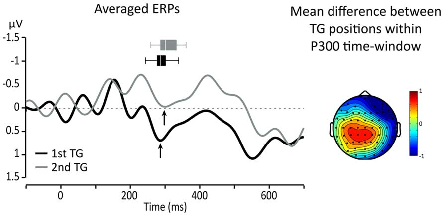 erp scan psychology