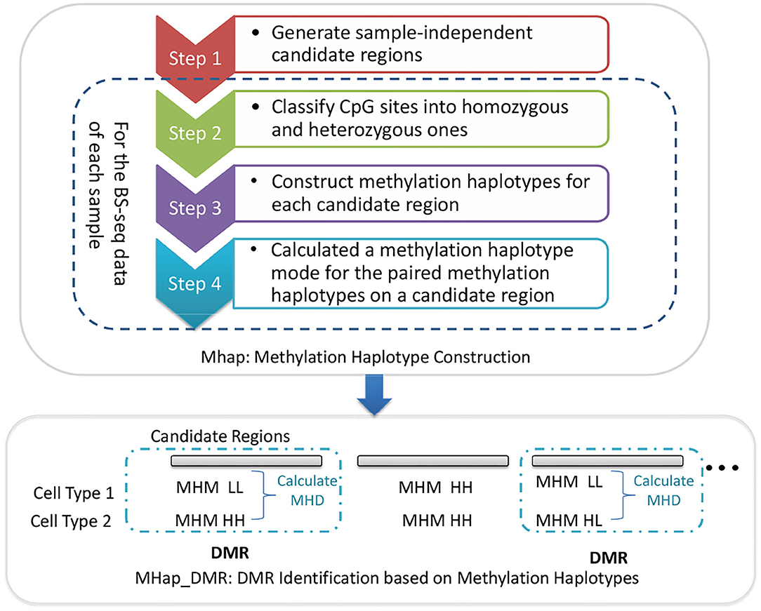 PDF) ZBTB12 DNA methylation is associated with coagulation- and