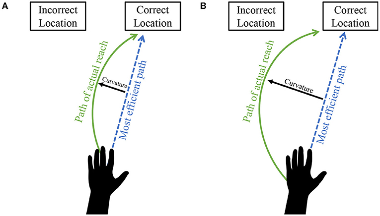 Figure 1 - The path of two different movements.