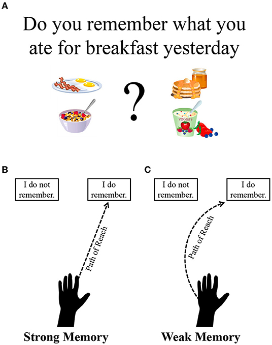 Figure 3 - Movements can show strength of memory.