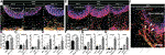 www.frontiersin.org