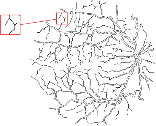 www.frontiersin.org